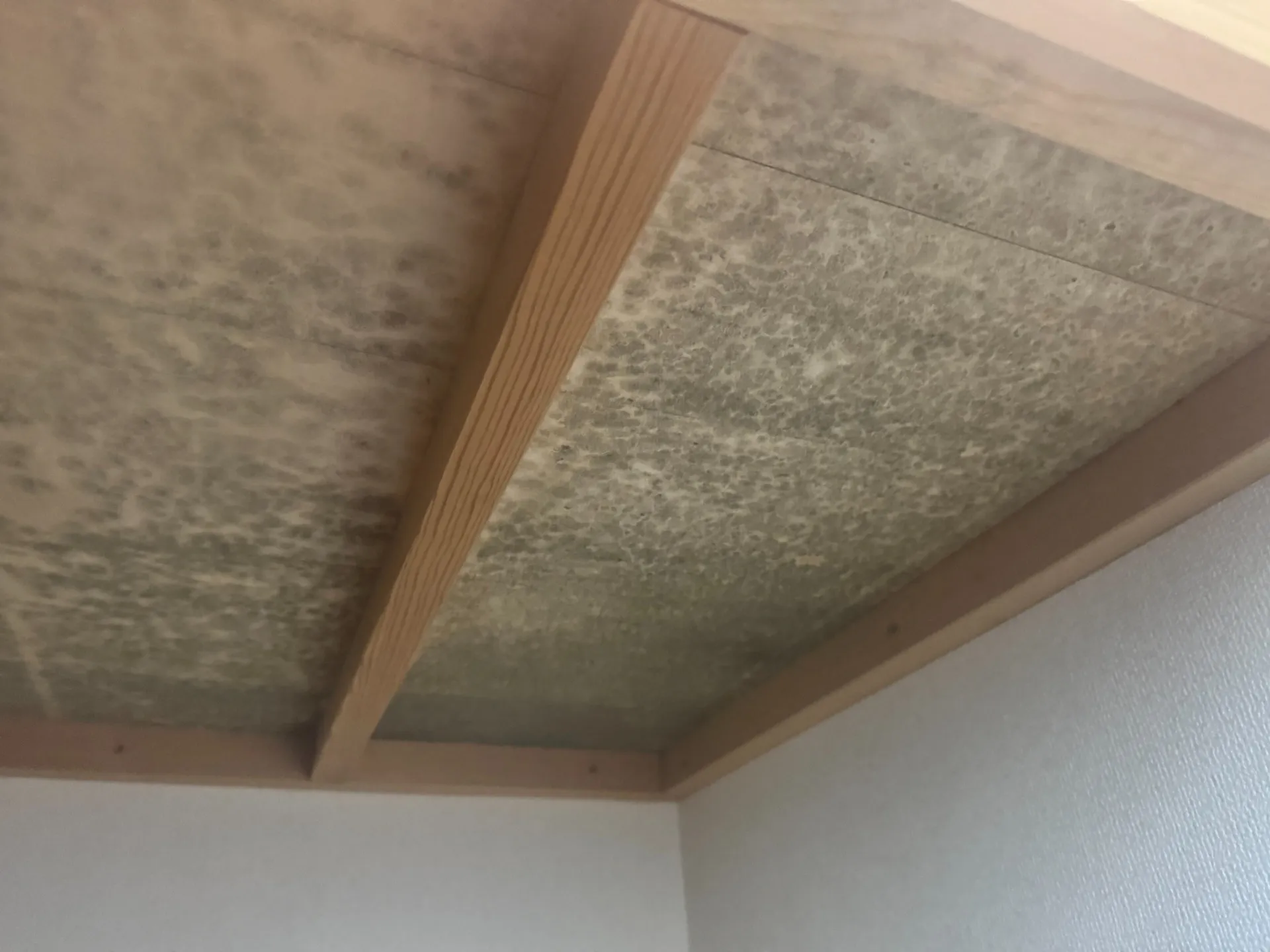 【東京都台東区東上野】