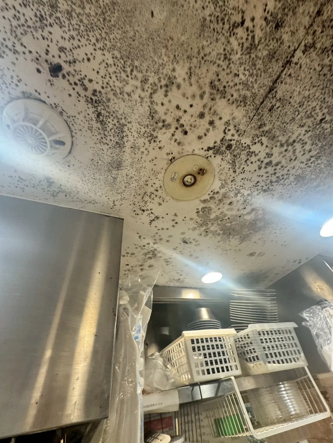 【東京都大田区】