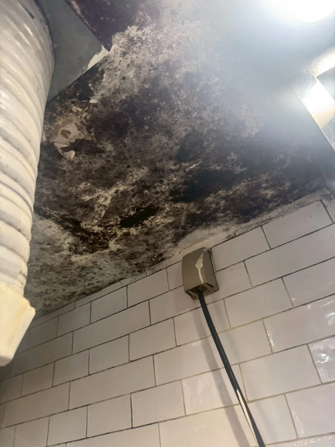 【東京都大田区】