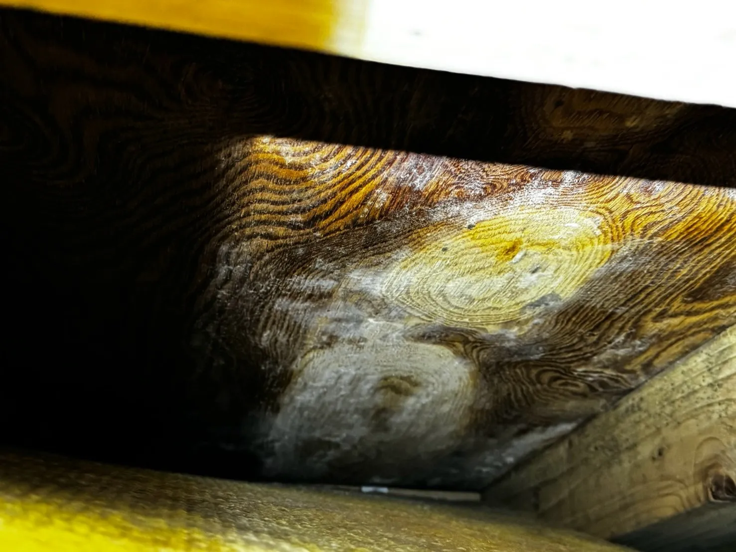 床下合板裏（断熱材をめくった状態）