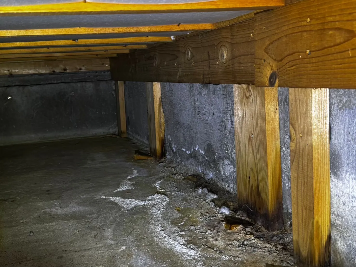 【目黒区柿の木坂】