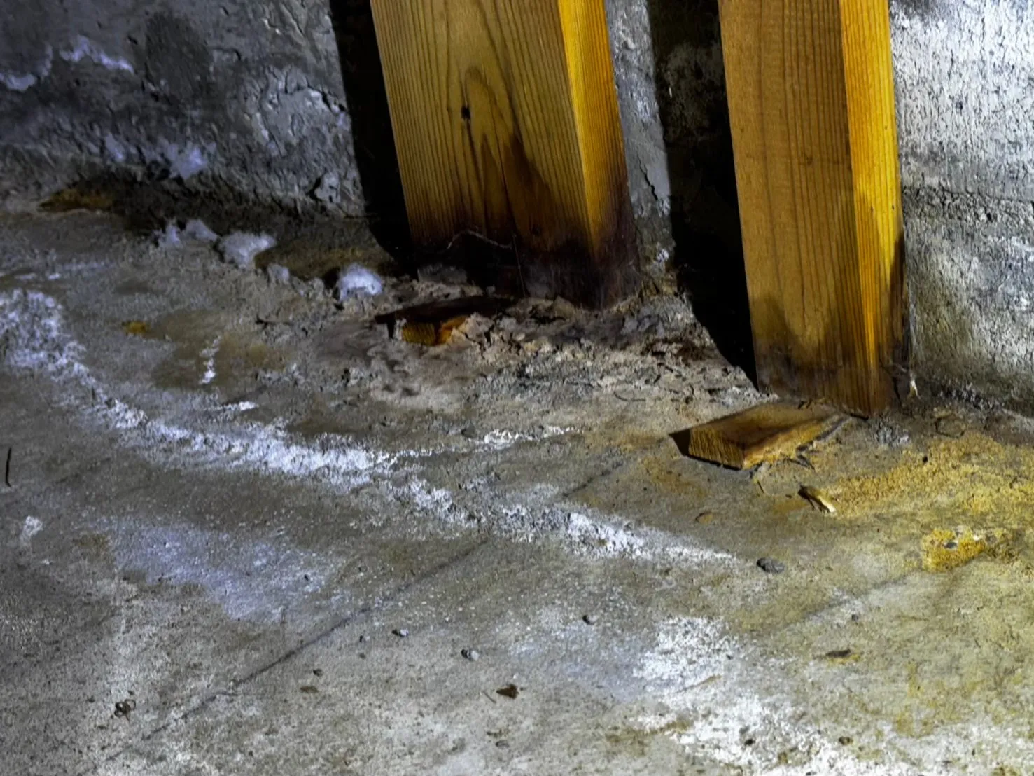 エフロエッセンス