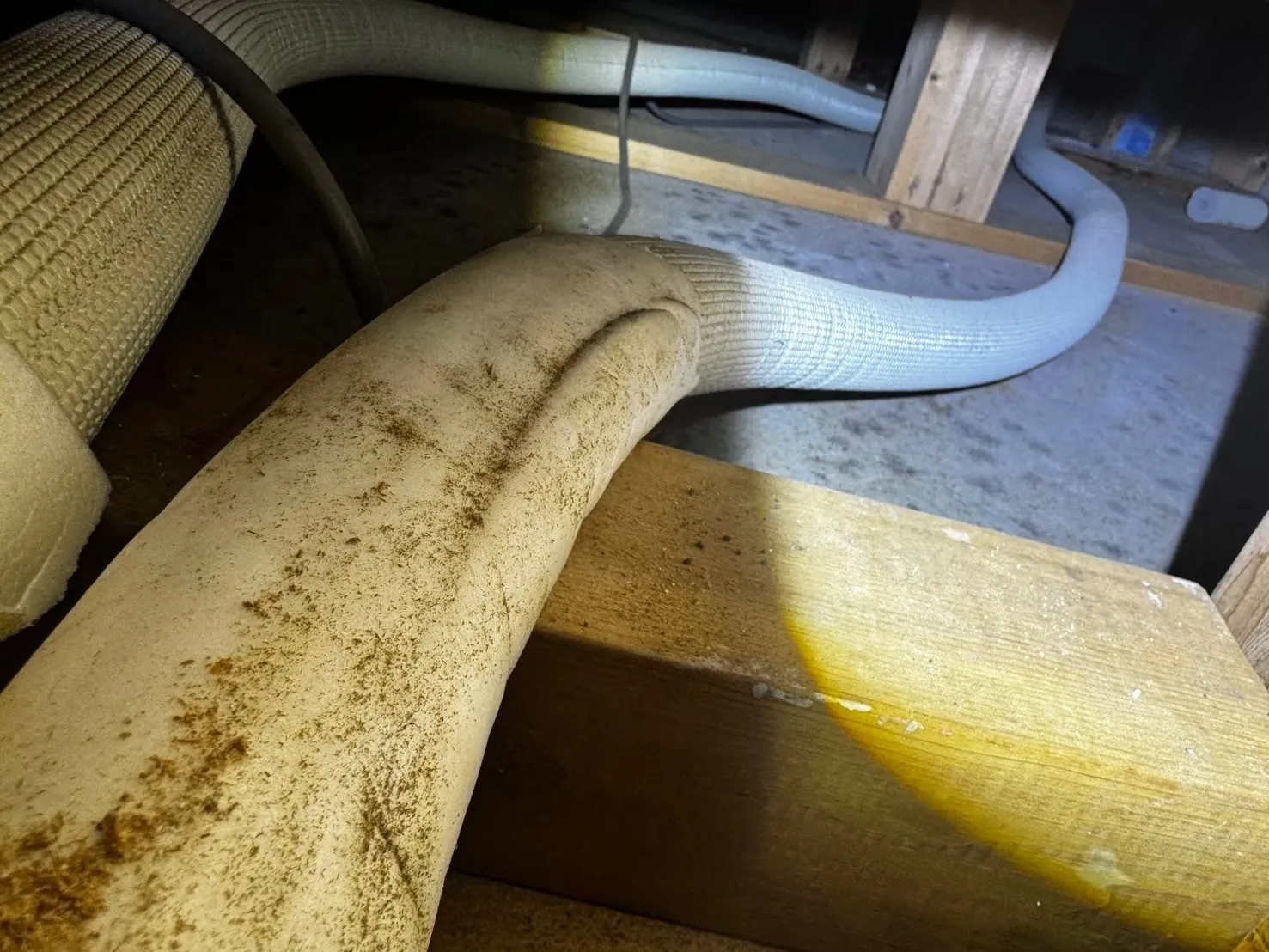 セントラルヒーティング配管にカビ有り