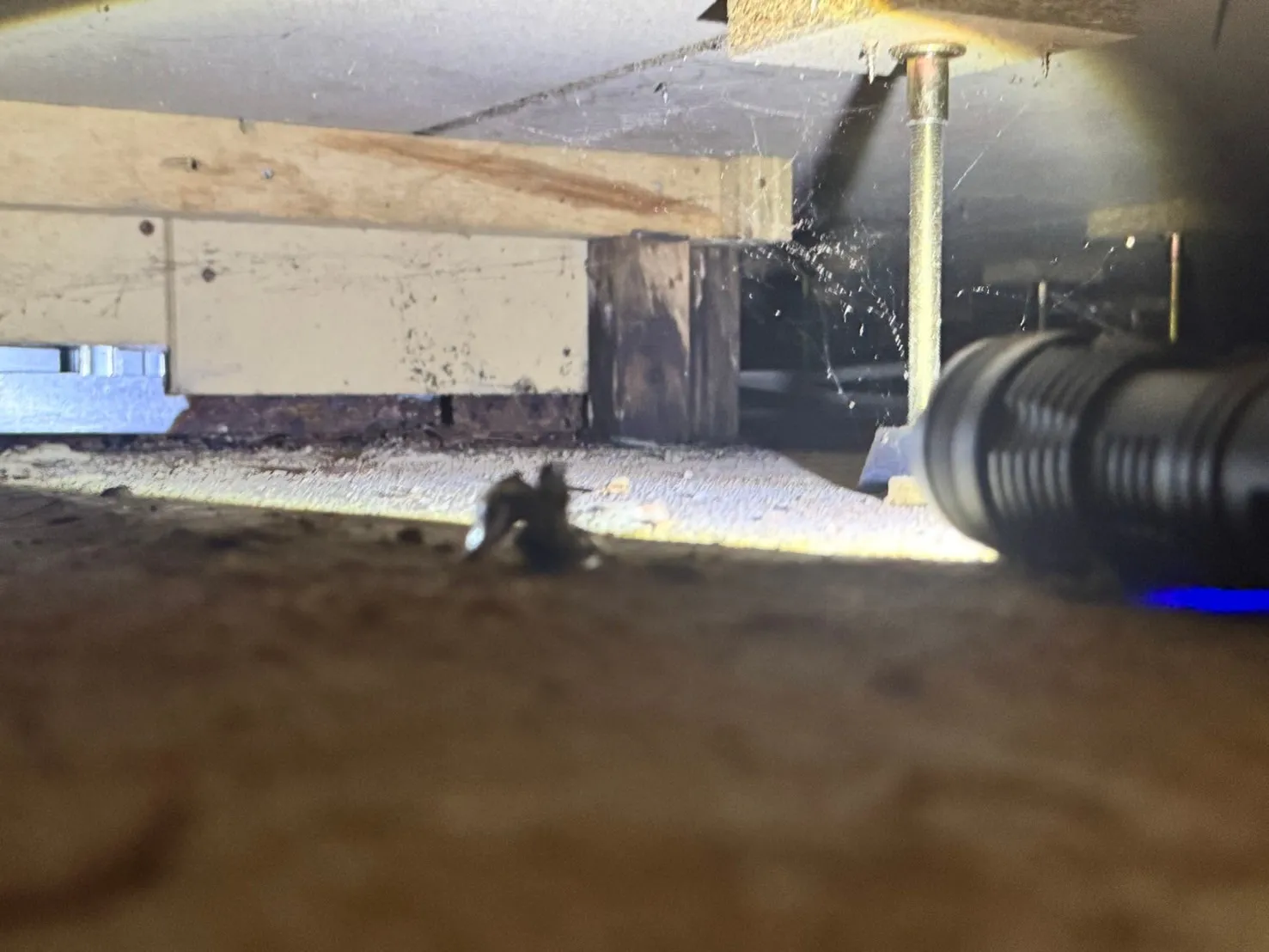 床下内木部腐朽