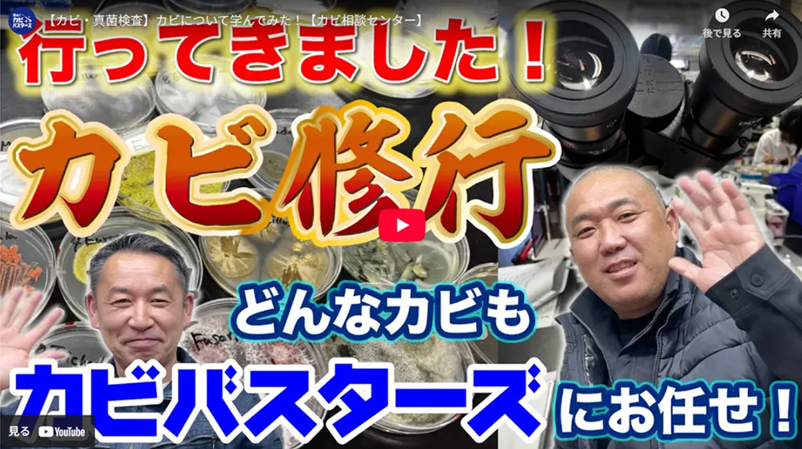 💡 室内環境を守るために知っておきたいこと