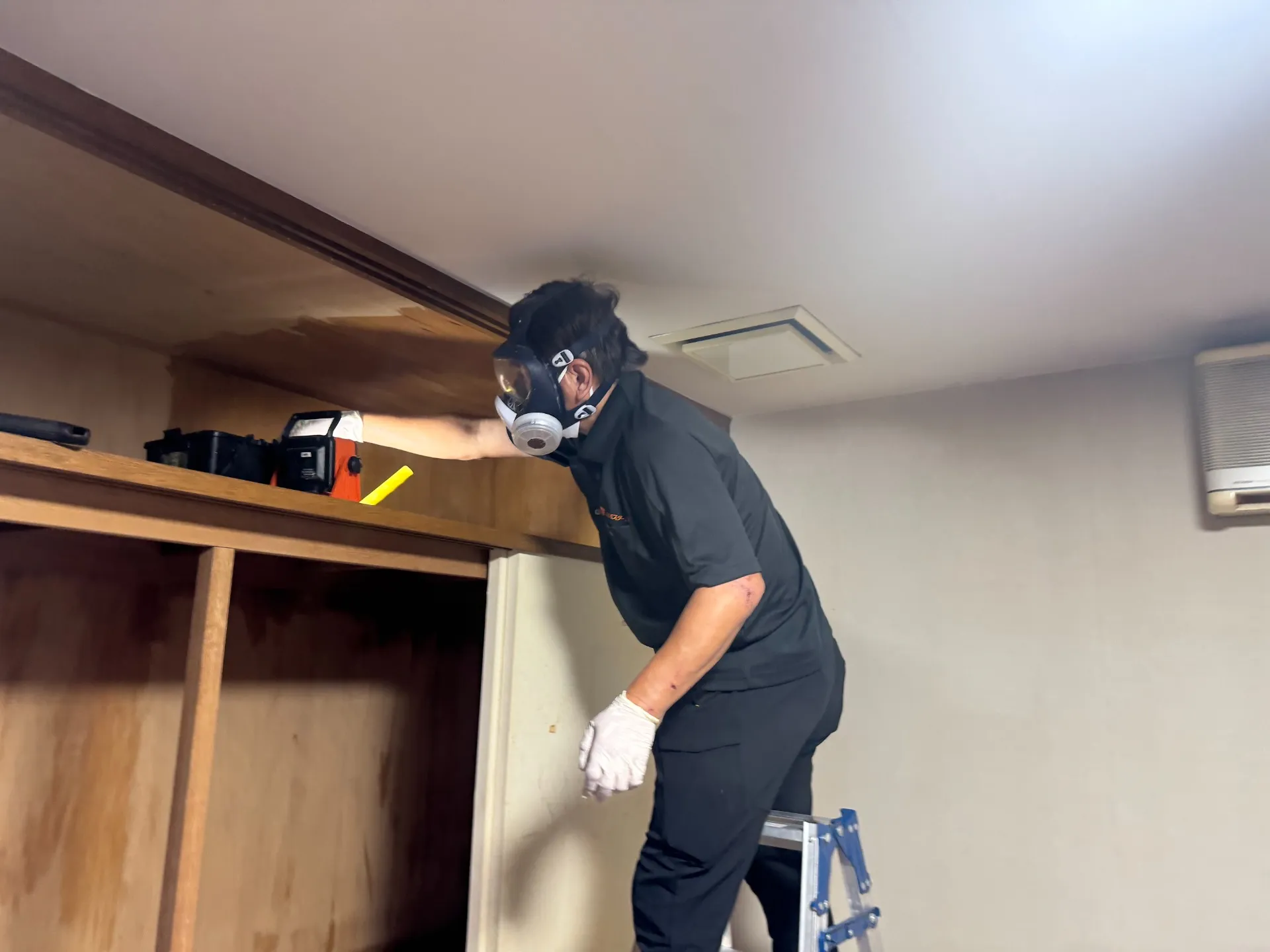 木造施設のカビ取り方法｜プロの業者が行う効果的な施工とは