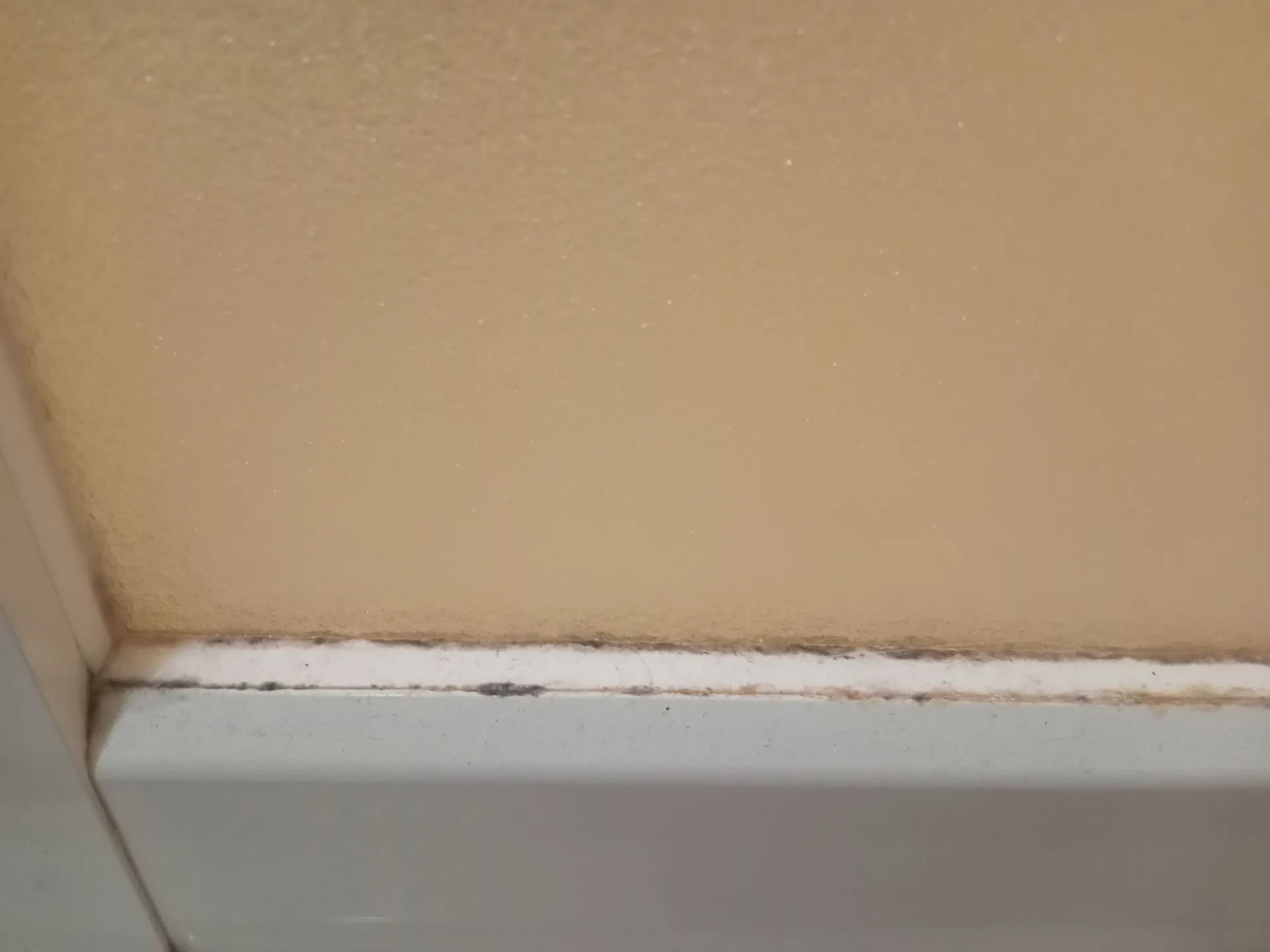 ゴムパッキンの黒カビが落ちない本当の理由