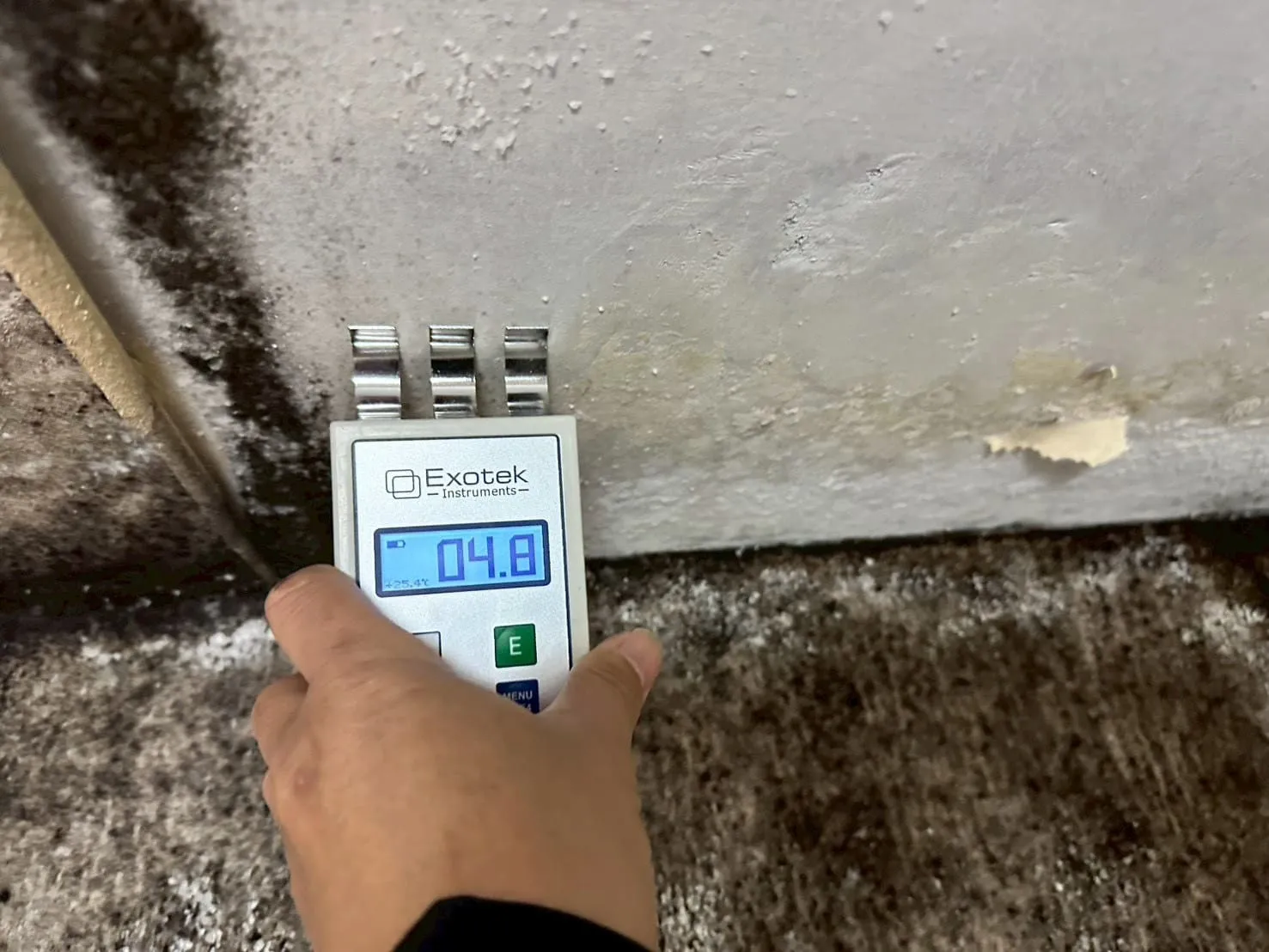 【東京都大田区】マンション｜カビ菌検査