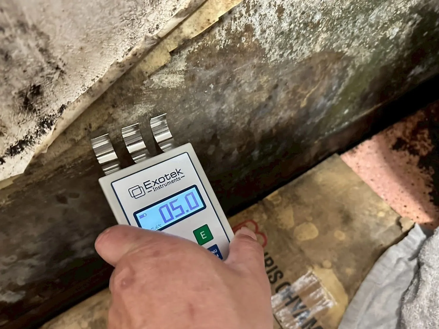 【東京都大田区】マンション｜カビ菌検査