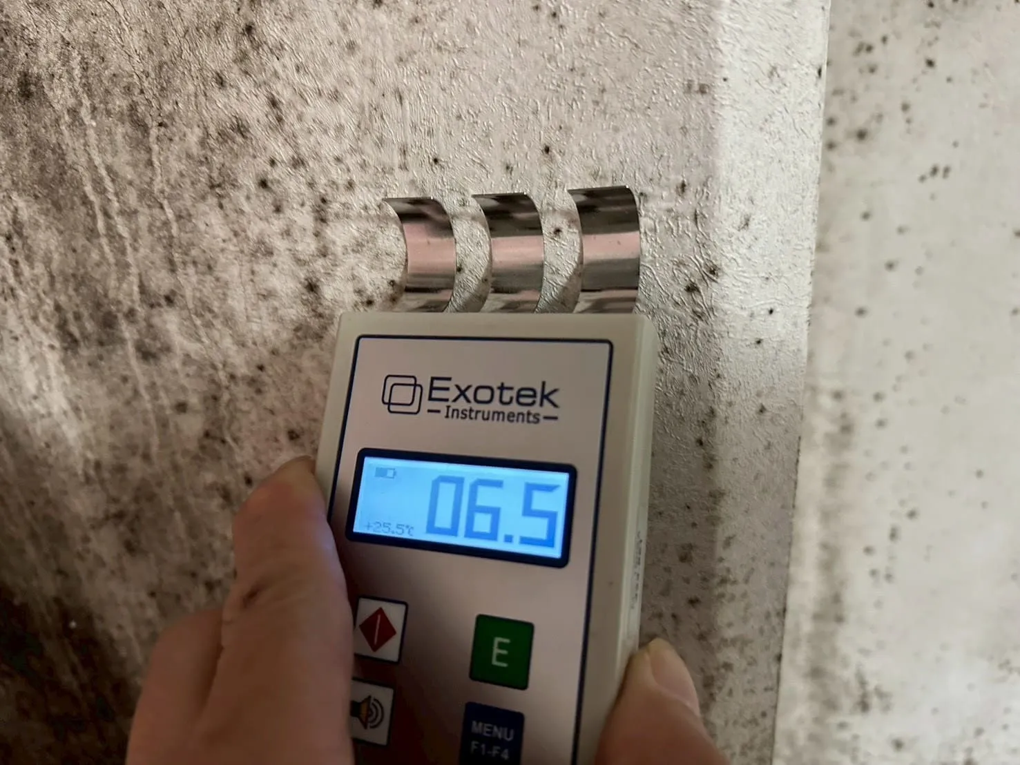 【東京都大田区】マンション｜カビ菌検査