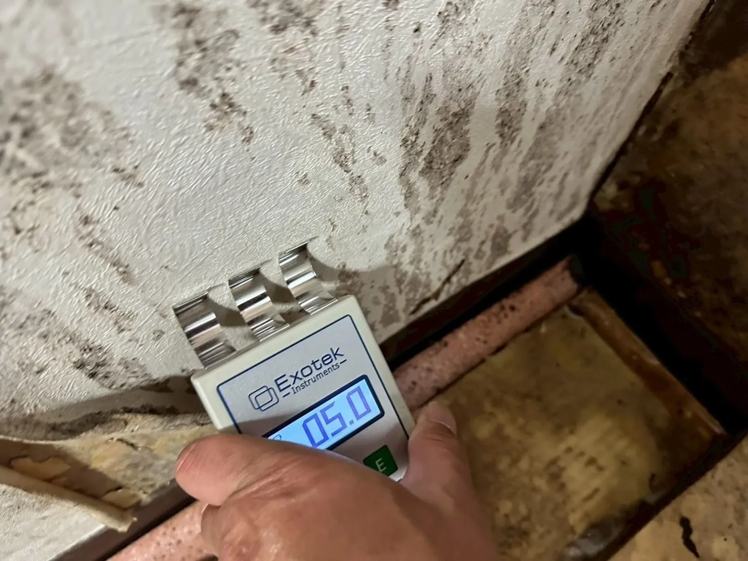 【東京都大田区】マンション｜カビ菌検査