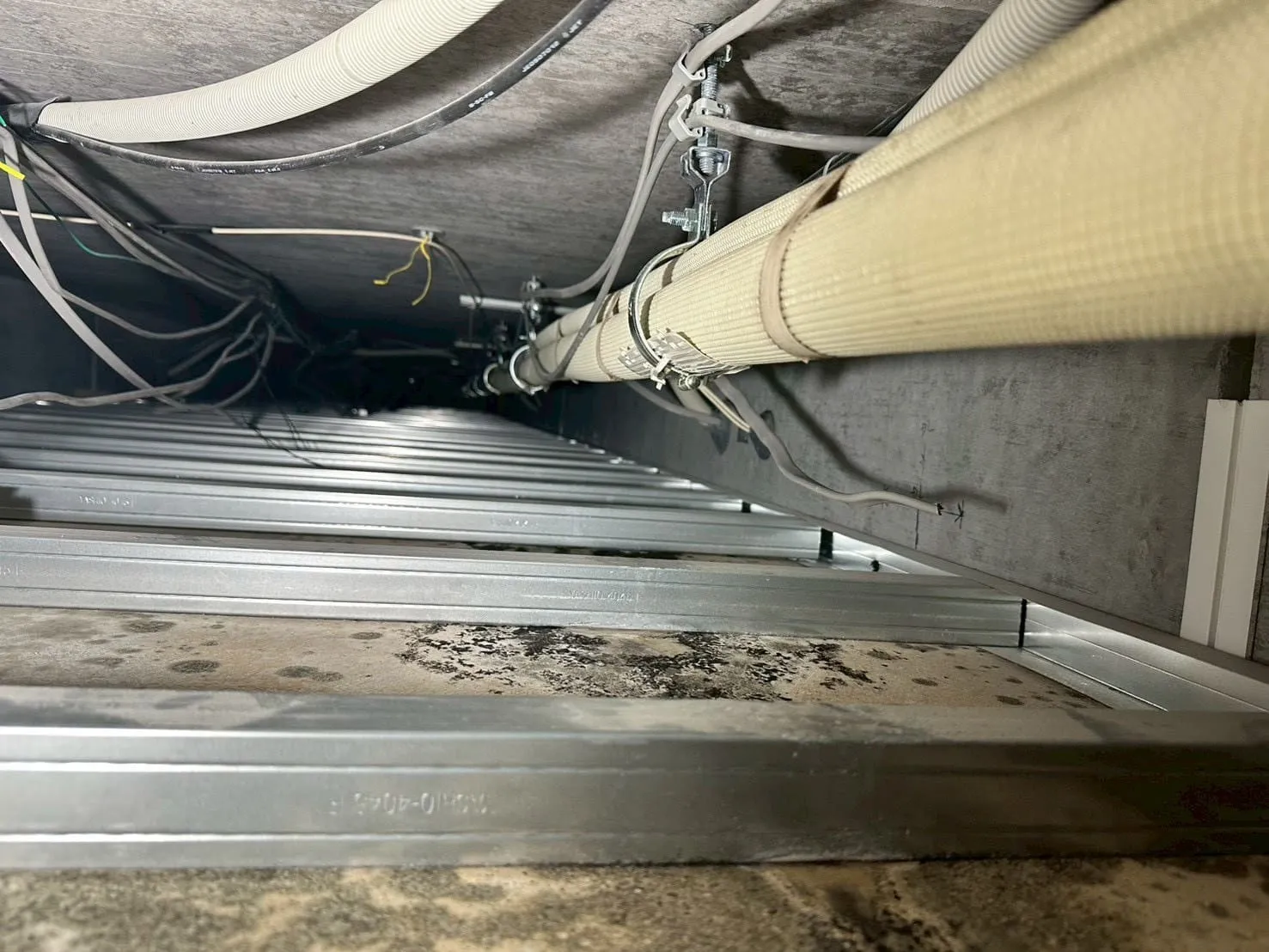 【東京都西東京市】社員寮｜カビ菌検査