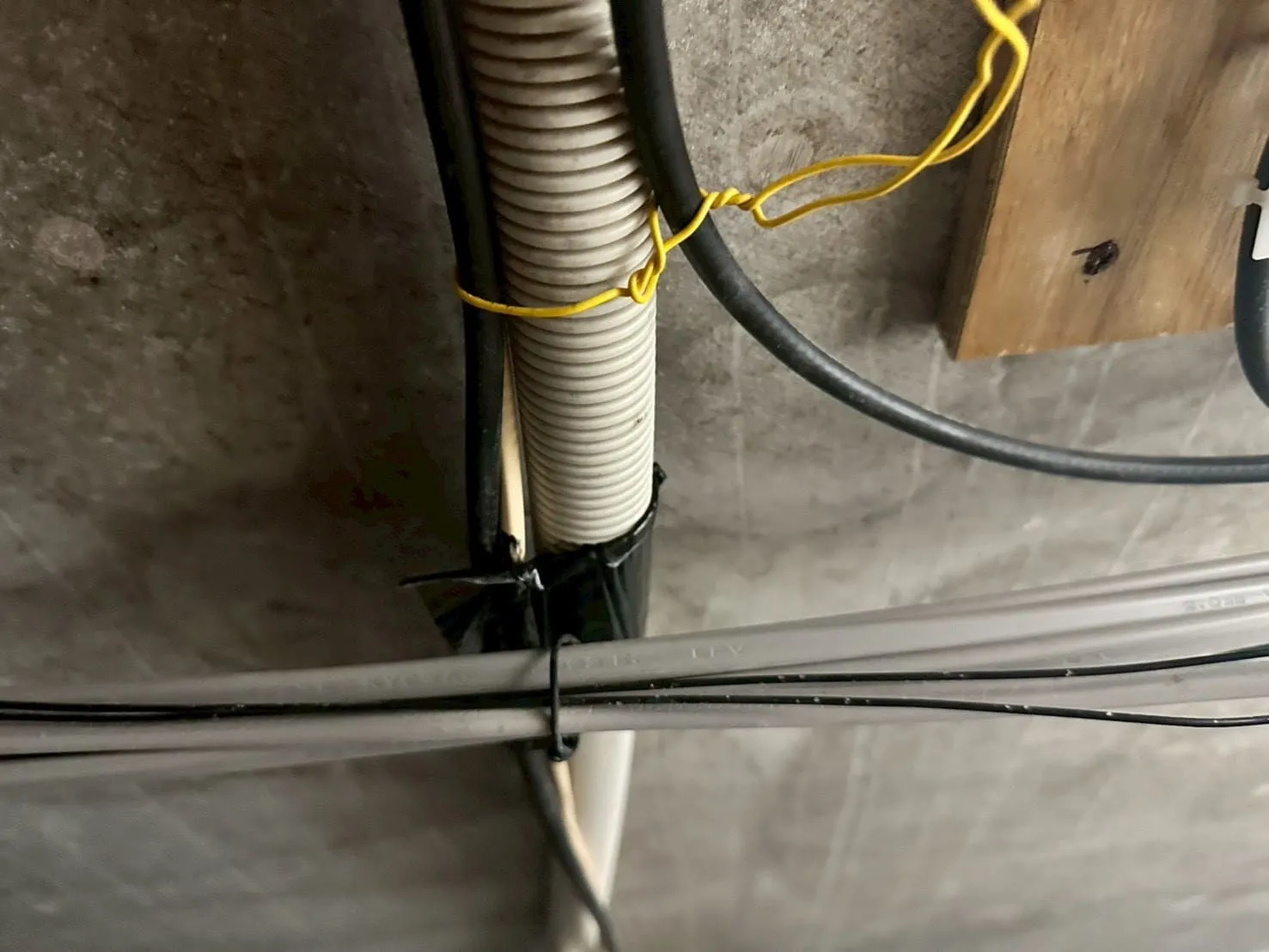 【東京都西東京市】社員寮｜カビ菌検査