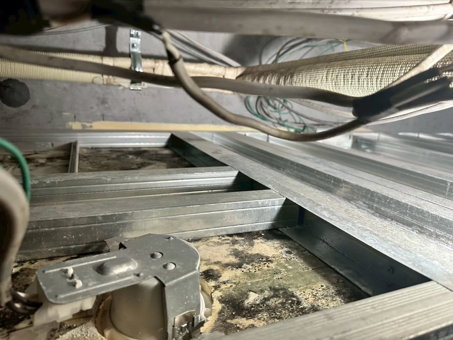 【東京都西東京市】社員寮｜カビ菌検査