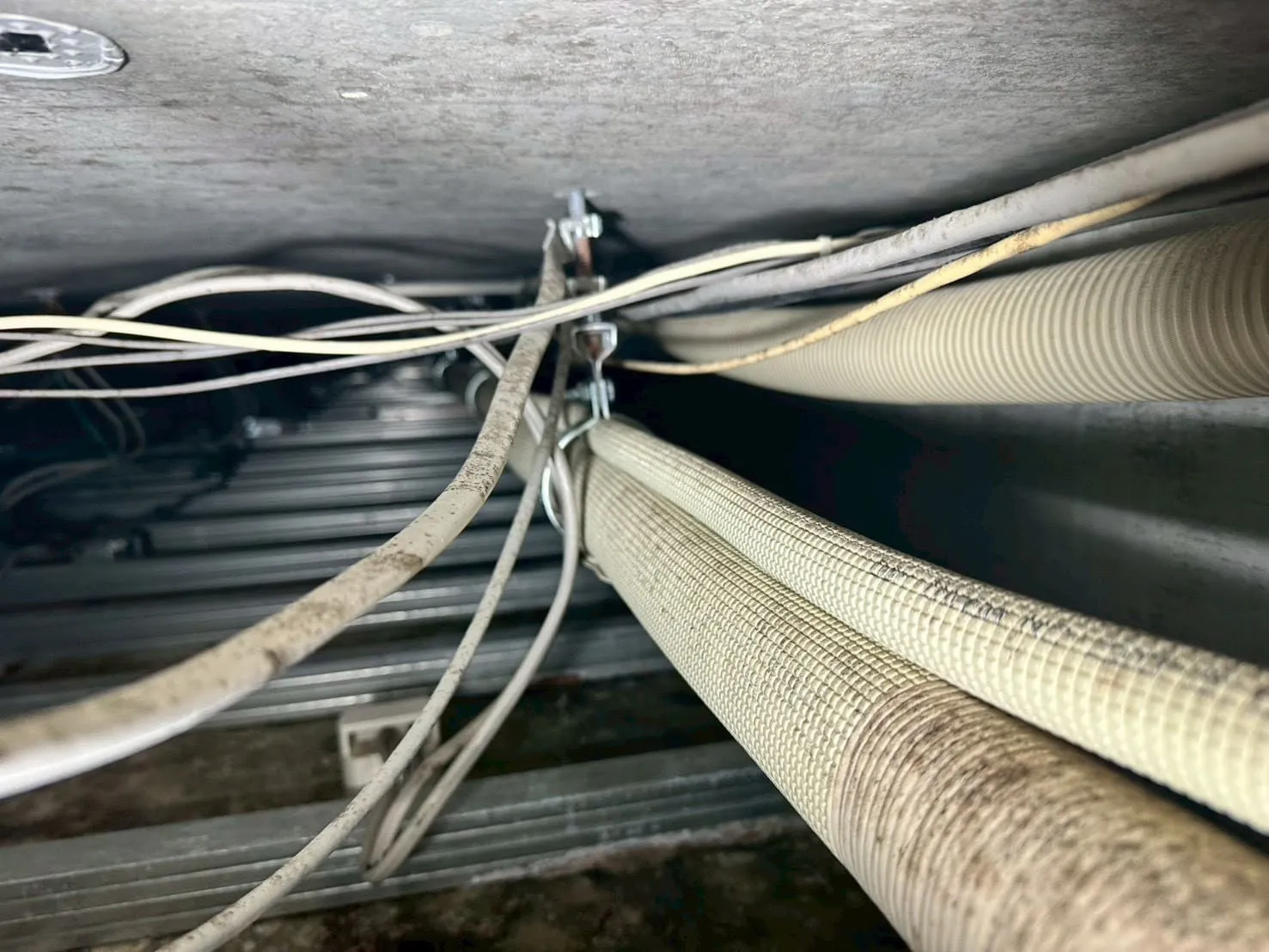 【東京都西東京市】社員寮｜カビ菌検査