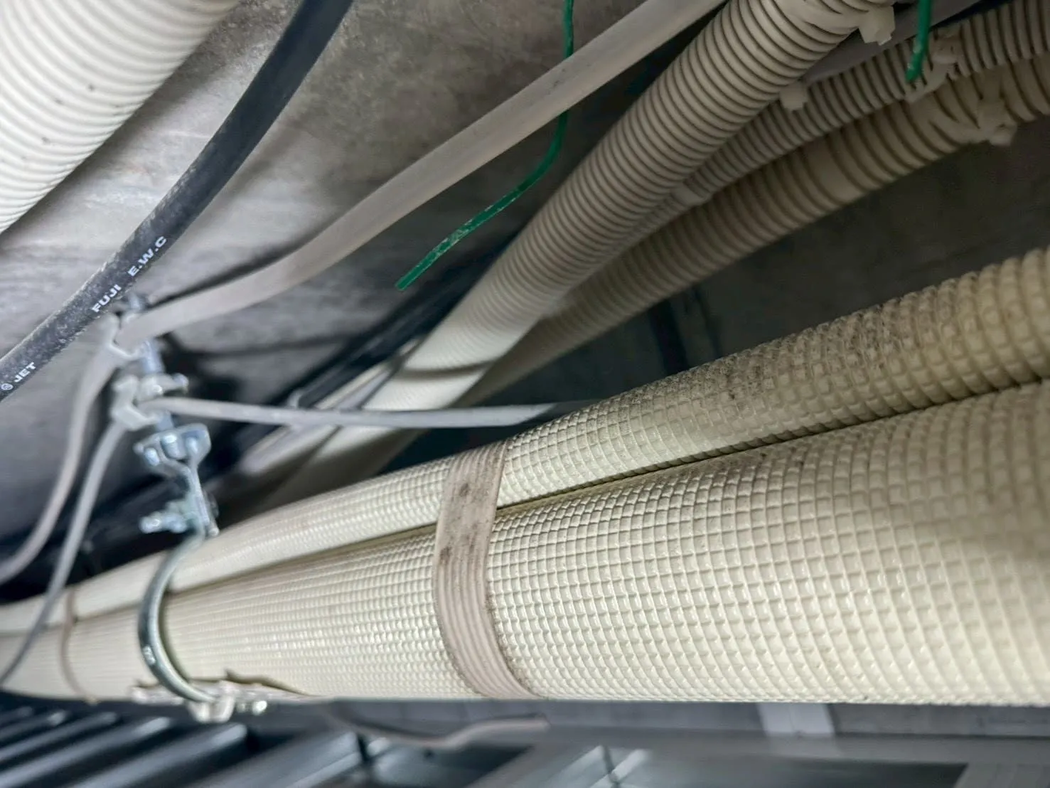 【東京都西東京市】社員寮｜カビ菌検査