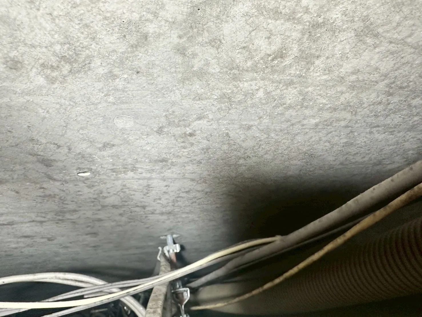 【東京都西東京市】社員寮｜カビ菌検査