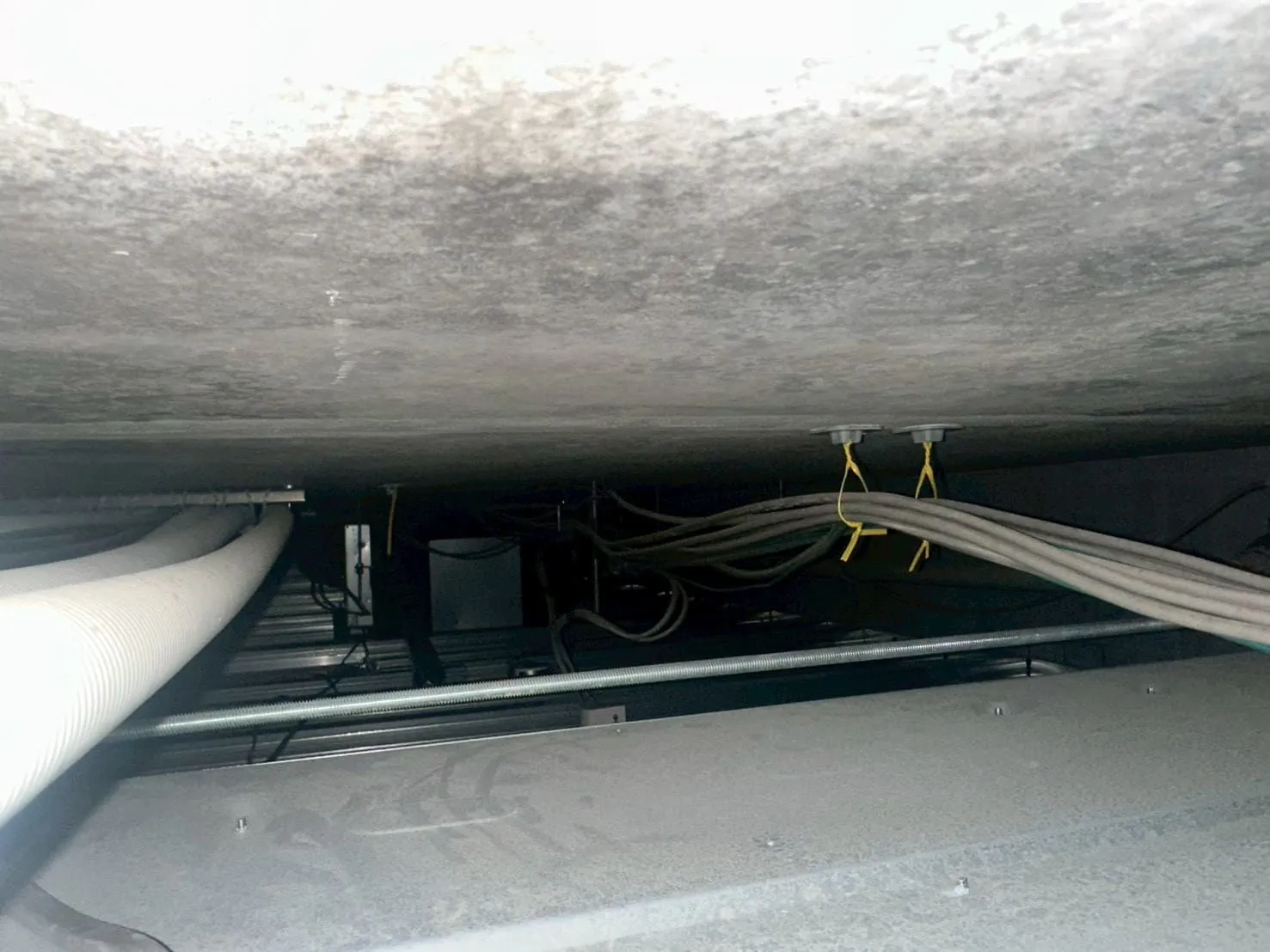 【東京都西東京市】社員寮｜カビ菌検査