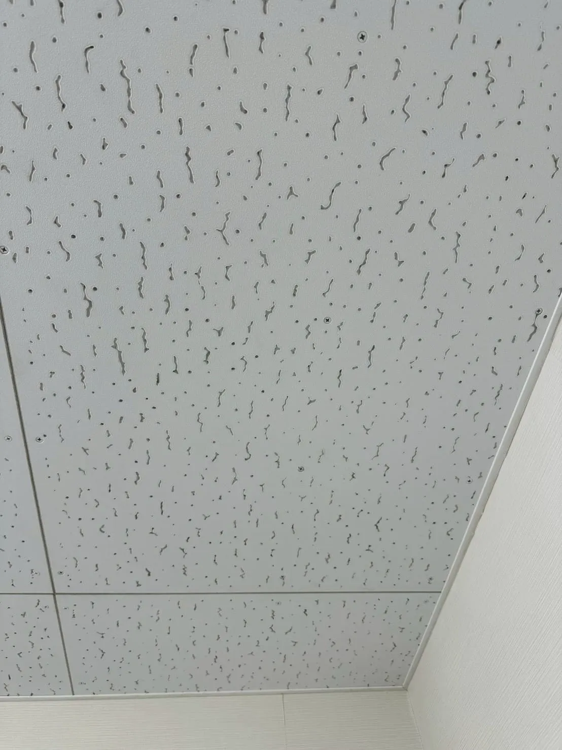 天井（ジプトーン）の施工後