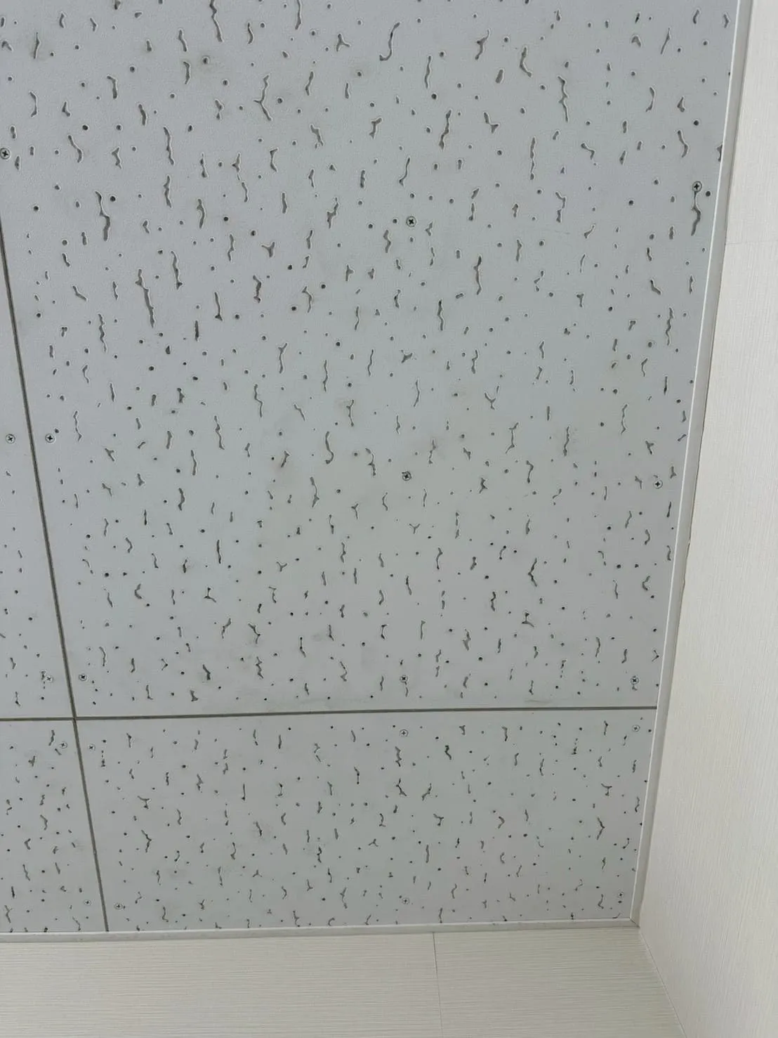 天井（ジプトーン）の施工前