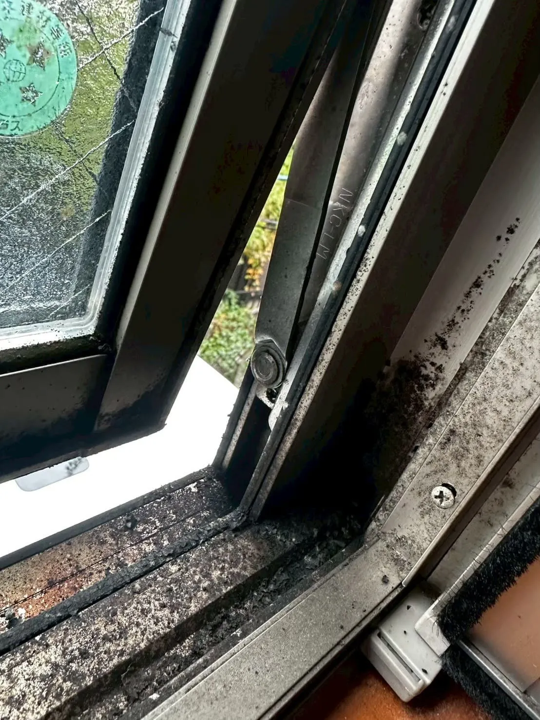 高窓のカビが層になっている様子