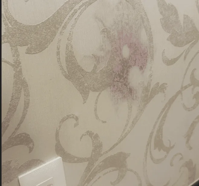 クロスの内側からのカビ