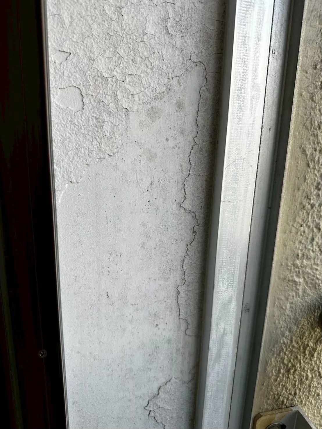 カビで変色した窓枠