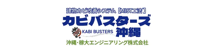カビバスターズ沖縄でカビ取り