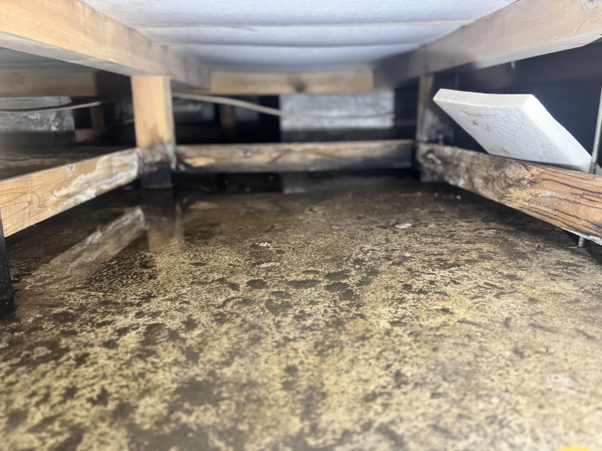 漏水により浸水した床下