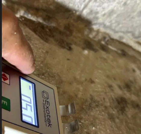 コンクリート部分の含水率検査