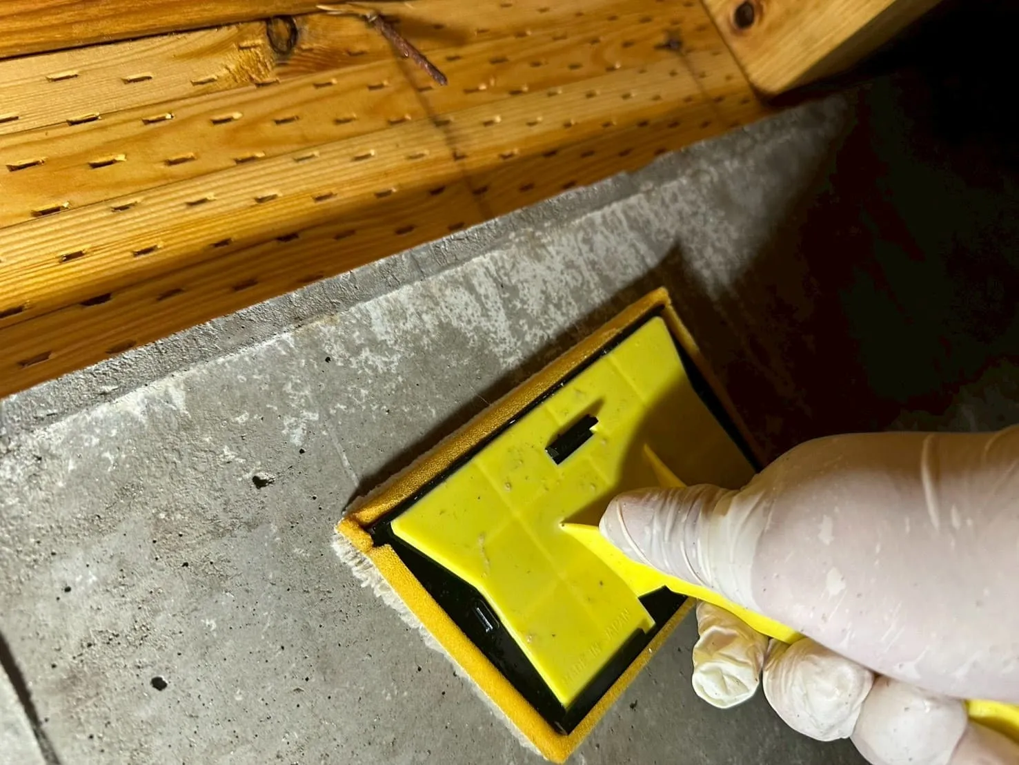 コンクリート部のカビ取り作業