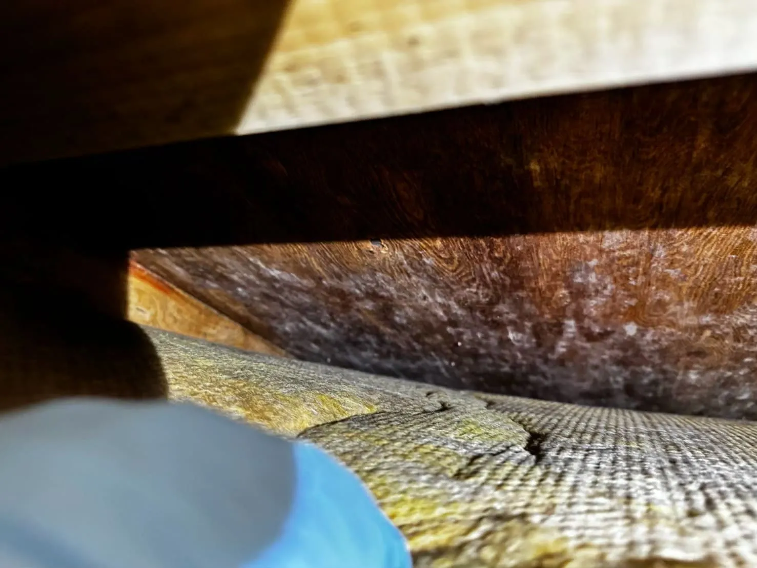 断熱材の隙間のカビ