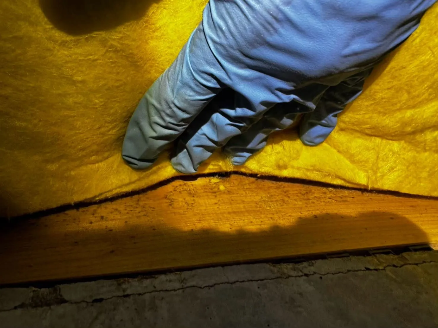 断熱材の隙間に生えたカビ