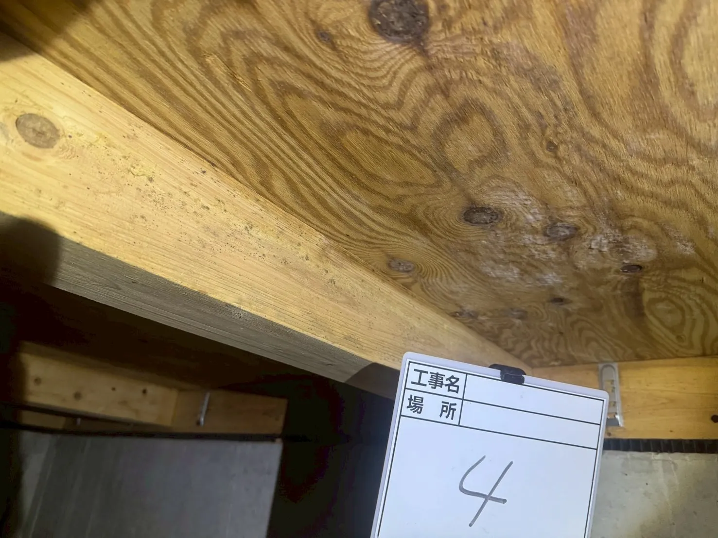 床下合板・大引きカビ処理前