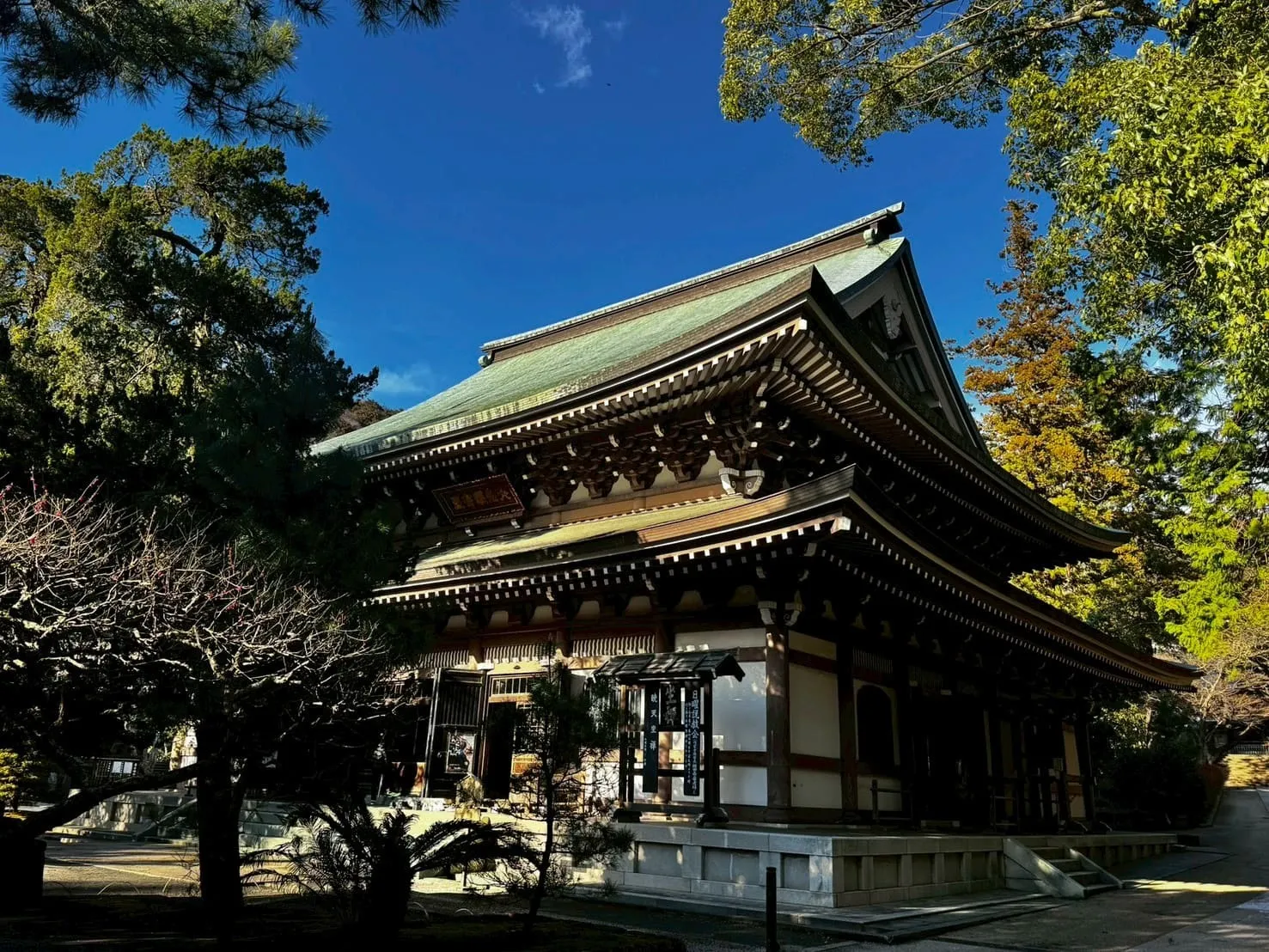 【鎌倉市円覚寺】天井カビ発生…小屋裏含水率34.9％の危険数値｜夏型結露で進行する見えないカビの実態と対策