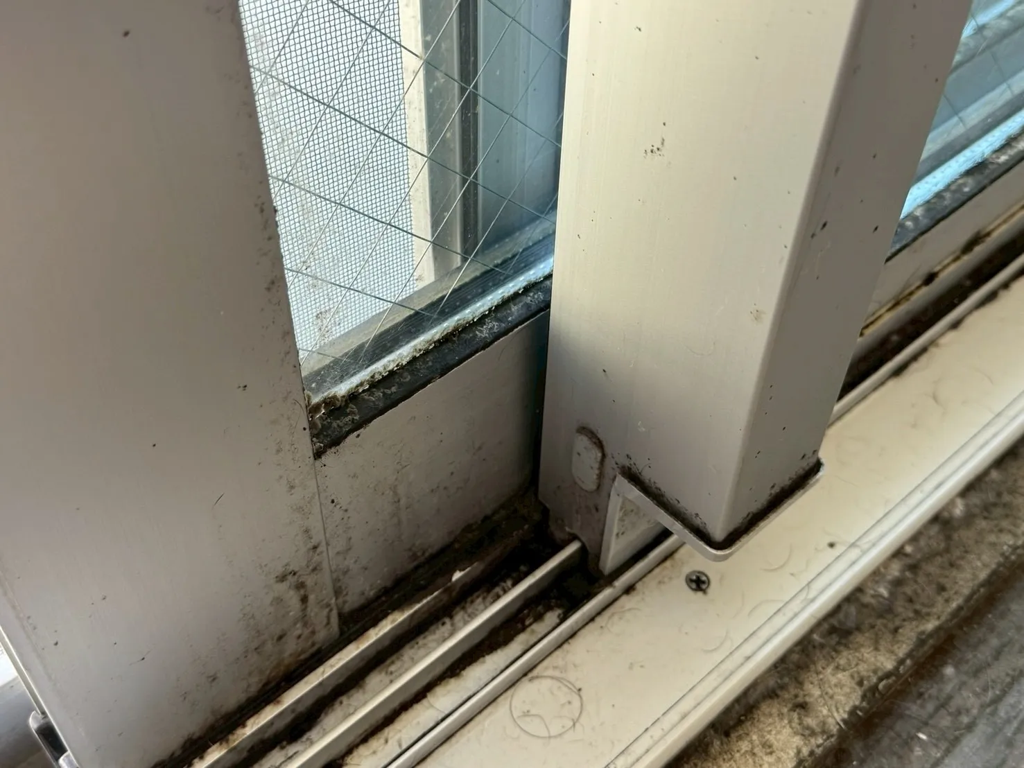かびたサッシ