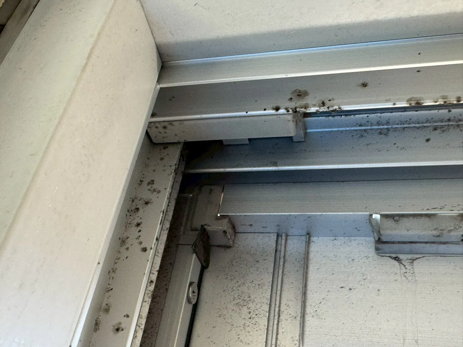 カビが生えたサッシ