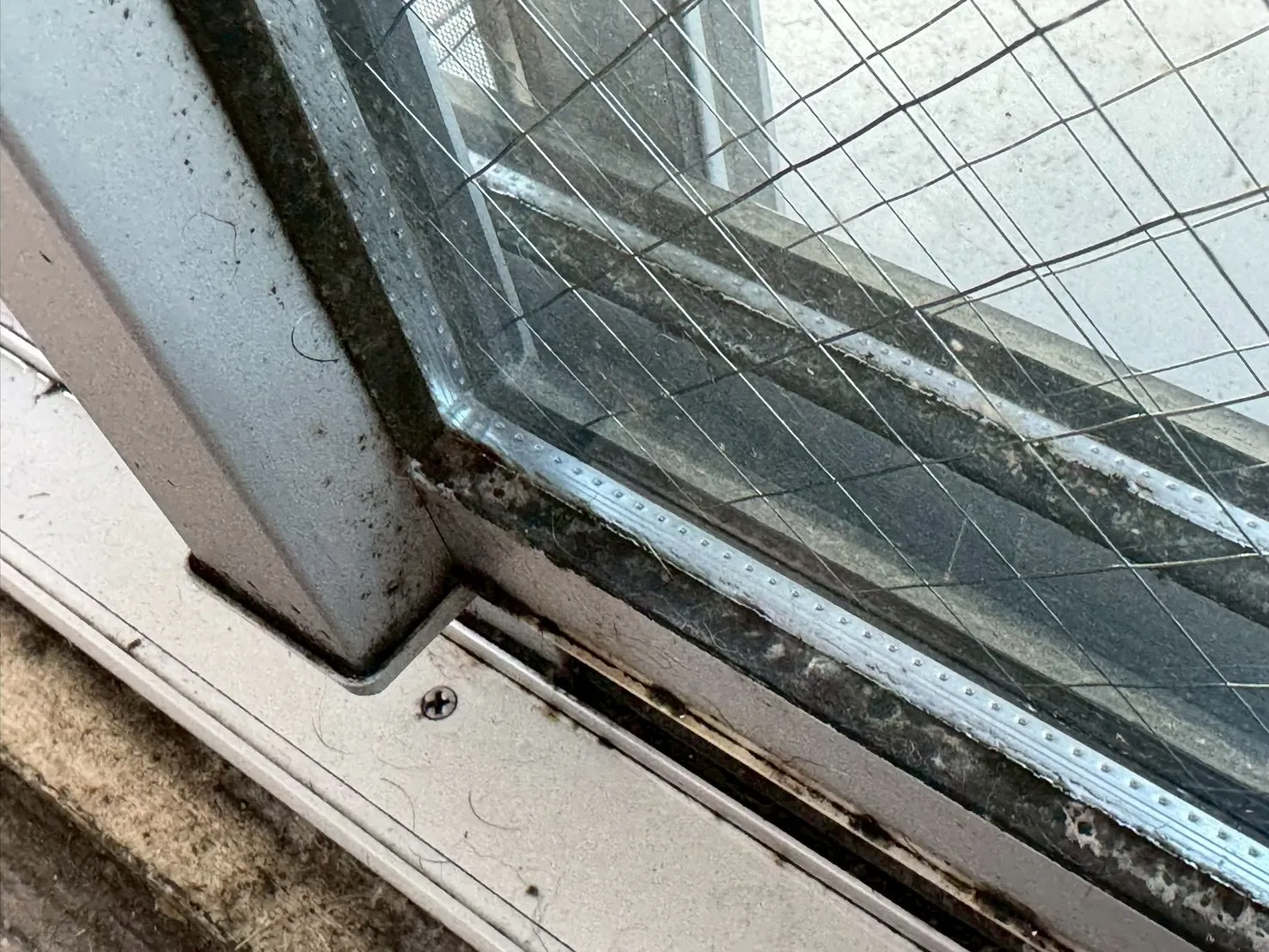 結露によりカビが生えたサッシ