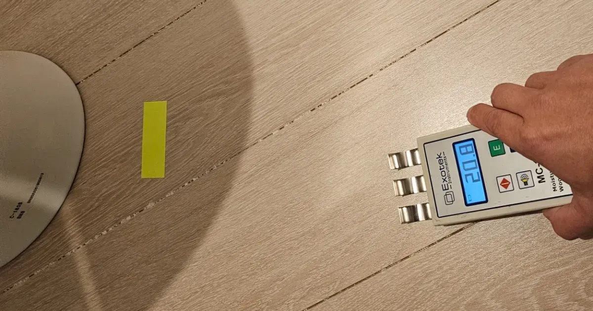 保育園の床下カビ対策｜園児を守る安全な除カビと菌検査の重要性