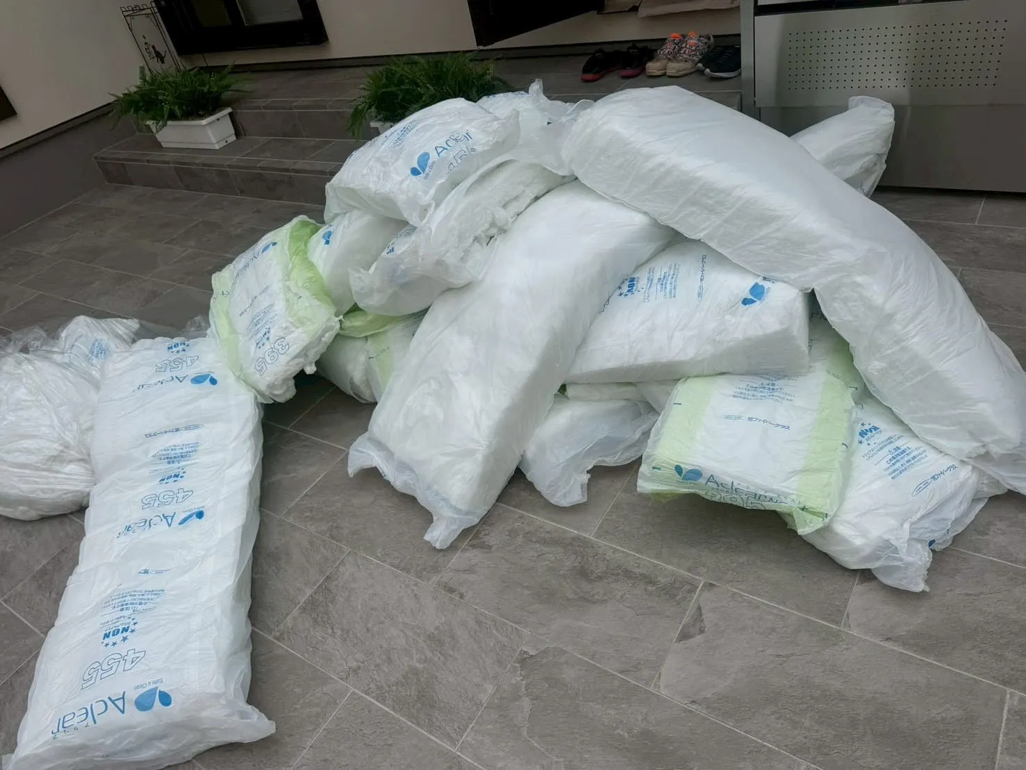 小屋裏の除カビ