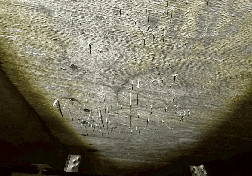 目黒区新築戸建て床下カビ調査｜基礎断熱の落とし穴と原因を徹底解説