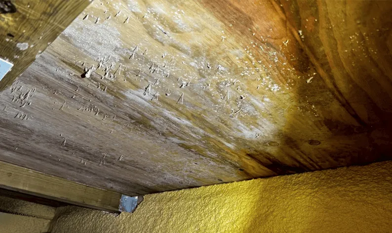 新築戸建て住宅床下の様子①