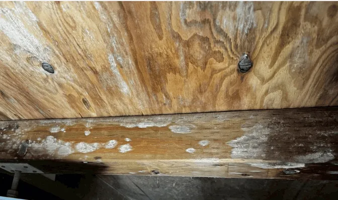 新築戸建て住宅床下の様子②