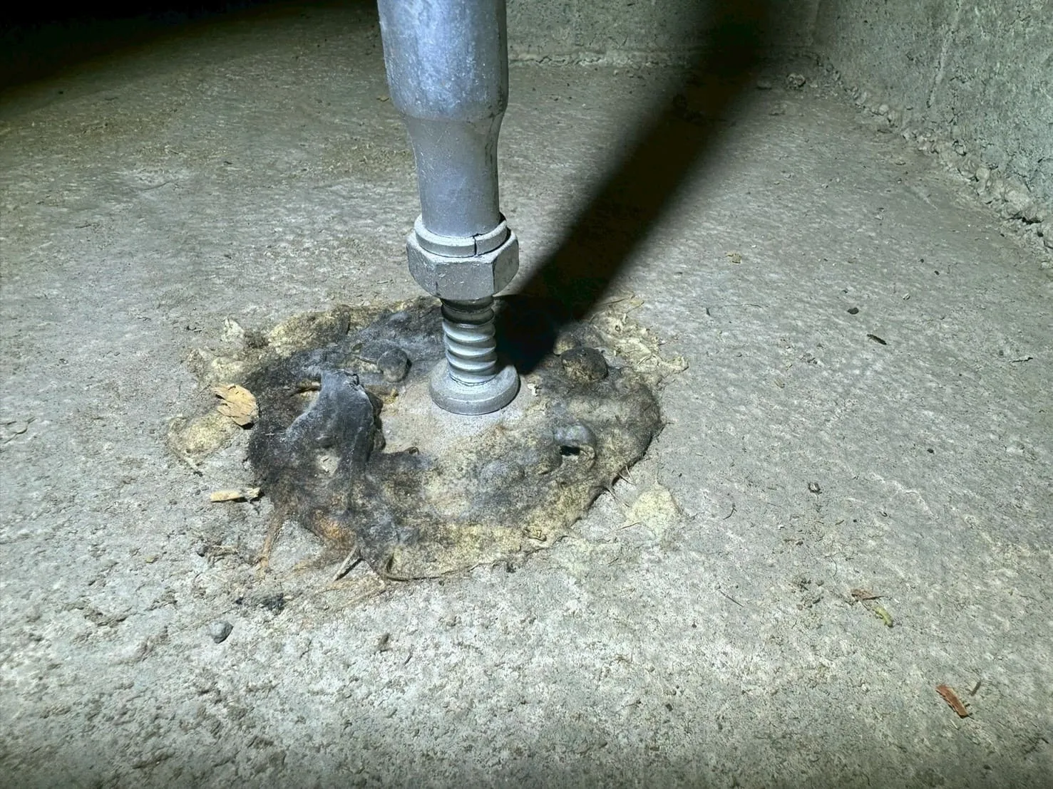 品川区の床下カビ取り｜戸建て住宅のカビ臭い原因と専門業者による除カビ施工事例