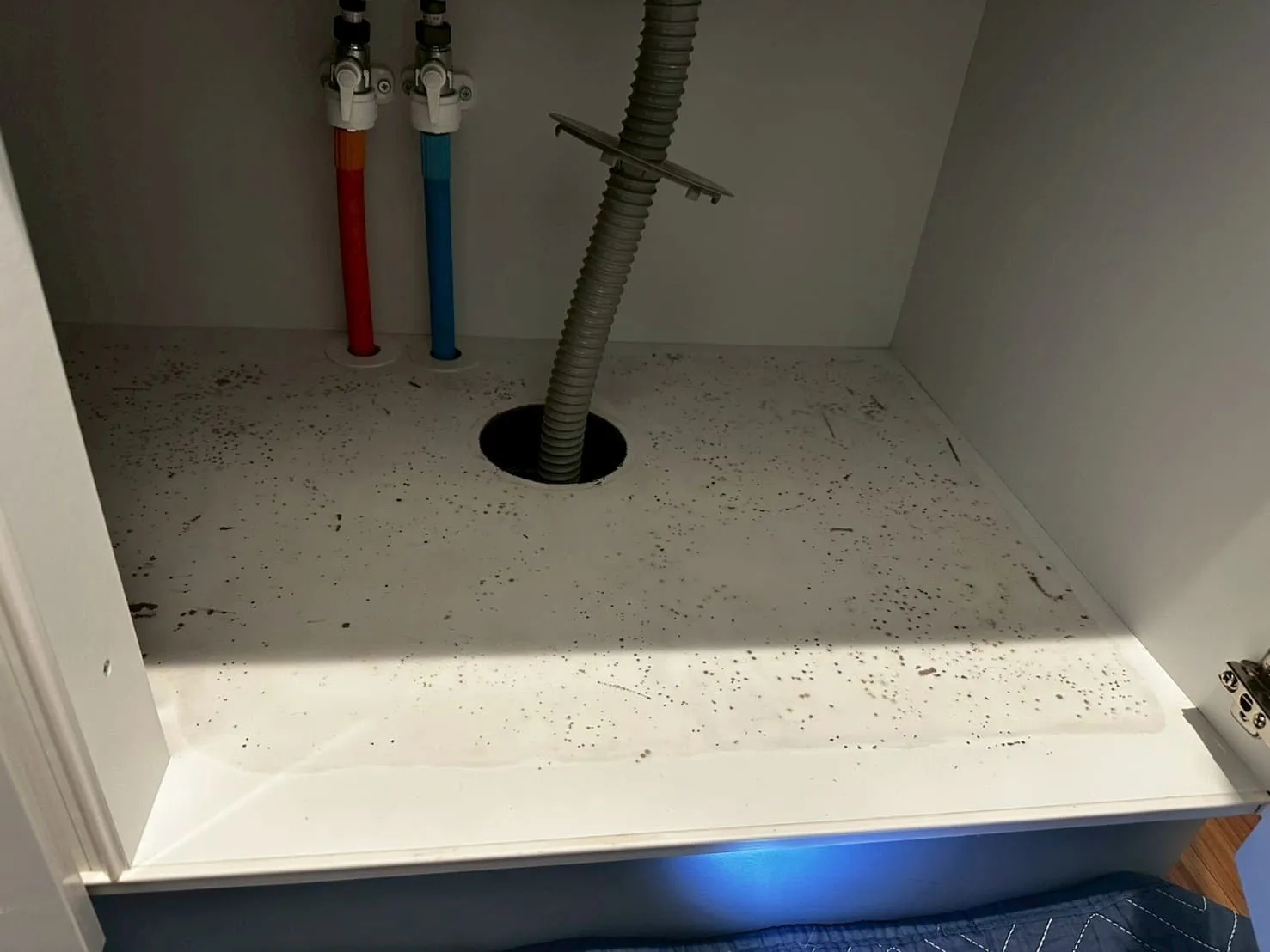 埼玉県戸田市のキッチンカビ調査｜含水率・負圧測定で原因特定