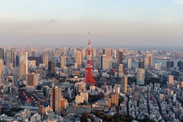 東京23区で多発するカビの原因を徹底分析!MIST工法®カビバスターズ東京が実践的対策を紹介